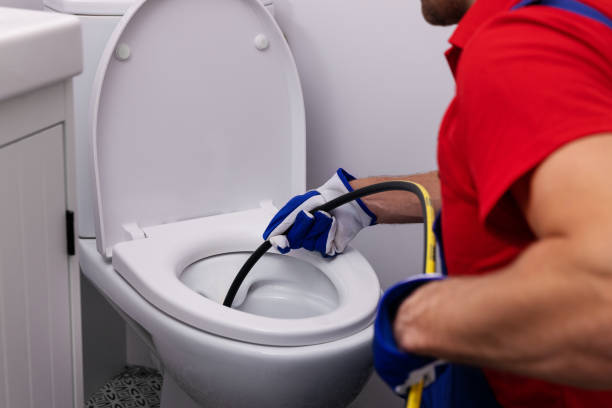 Best Plumbing Inspection Services  in Annandale, MN