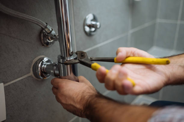 Best Residential Plumbing Services  in Annandale, MN