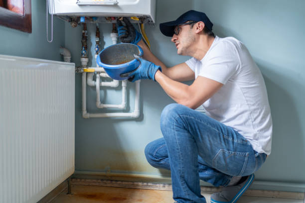 Best Clogged Drain Plumber  in Annandale, MN
