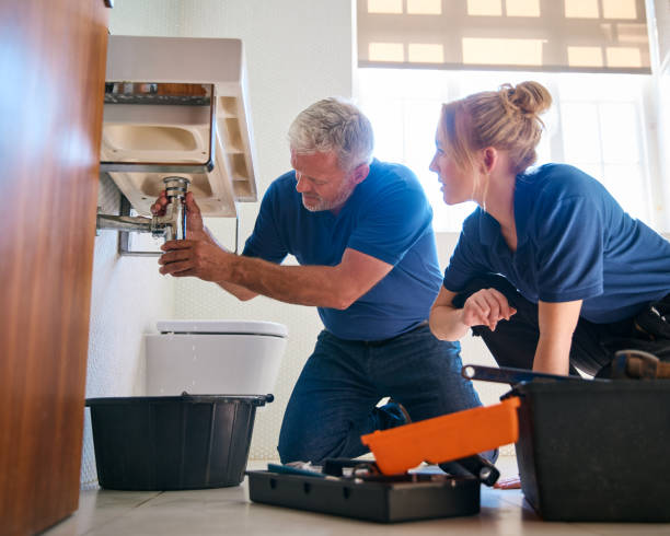 Best Plumbing Repair Near Me  in Annandale, MN